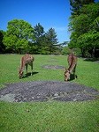 100508_奈良DSCN3082.jpg
