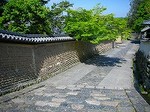 100508_奈良DSCN3098.jpg