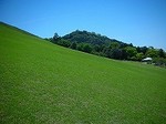 100508_奈良DSCN3103.jpg