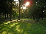 鹿_DSCN2955.jpg