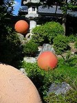 BIWAKO BIENNALE 2010_DSCN3639.jpg