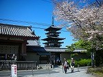 薬師寺_DSCN2909.jpg