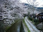 DSCN2820.jpg