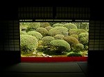DSCN2830.jpg