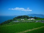 犬島・豊島_DSCN3892.jpg