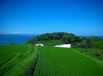 犬島・豊島_DSCN3904.jpg